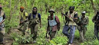 Des hommes lourdement armés font sauter le pont Niambalang