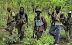 Des hommes lourdement armés font sauter le pont Niambalang